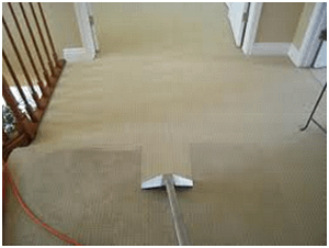 gallery, carpet hall cleaning